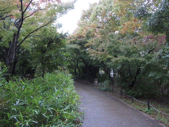 京都 梅小路公園 楓葉步道