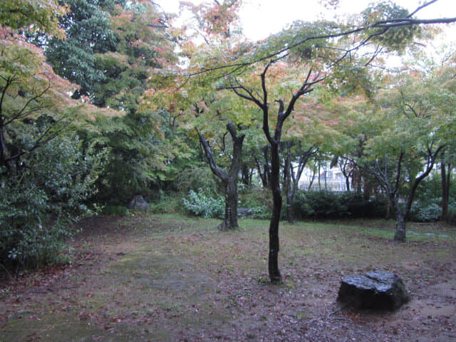 京都 梅小路公園 楓葉步道