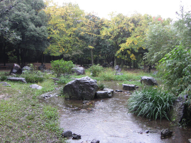 京都 梅小路公園 秋天紅楓葉景色