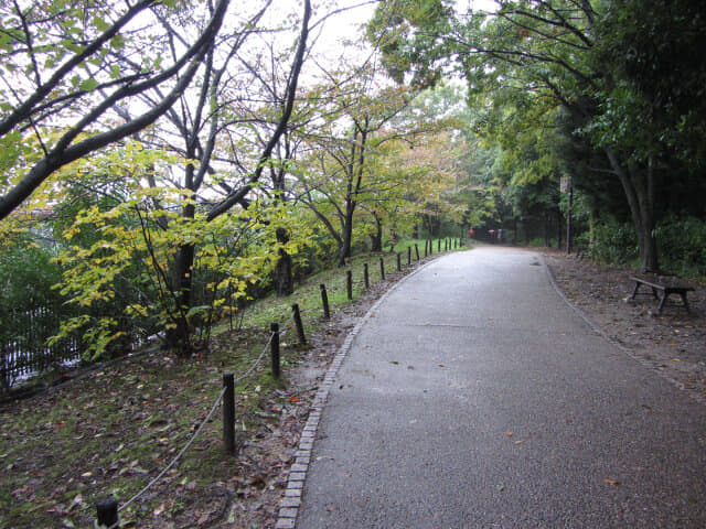 京都 梅小路公園 秋天景色