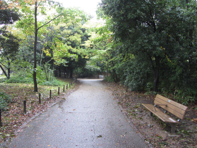 京都 梅小路公園 秋天景色