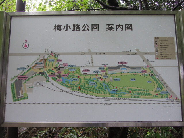 京都 梅小路公園遊覽地圖