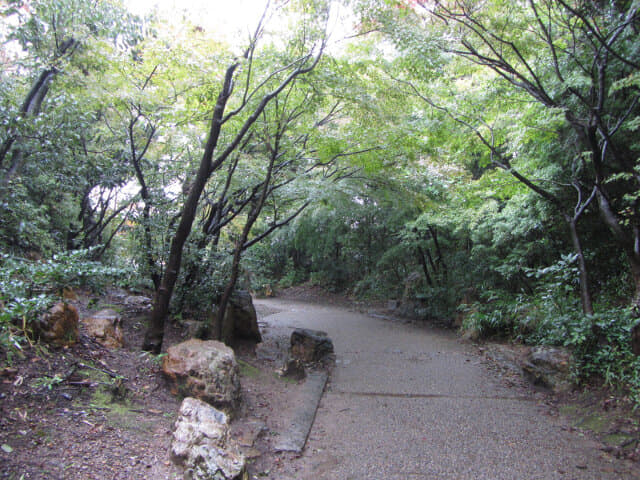 京都 梅小路公園 秋天楓葉景色