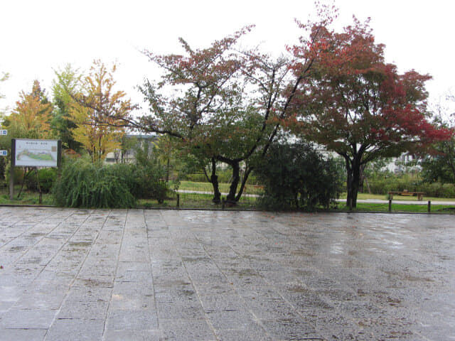 京都 梅小路公園 秋天楓葉景色