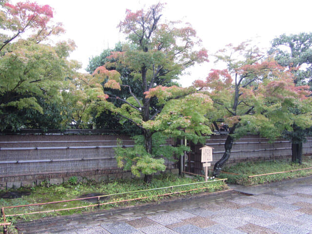 京都 梅小路公園 秋天楓葉景色