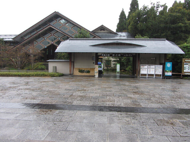 京都梅小路公園 緑の館、朱雀の庭