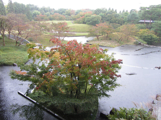 京都梅小路公園 朱雀の庭秋天紅葉景色