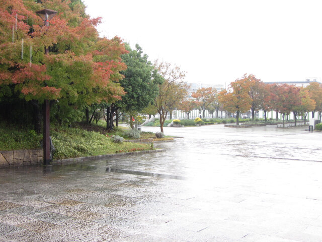 京都梅小路公園 秋天紅葉景色