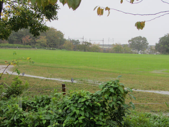 京都梅小路公園