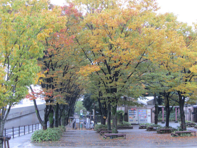 京都梅小路公園．大宮入口