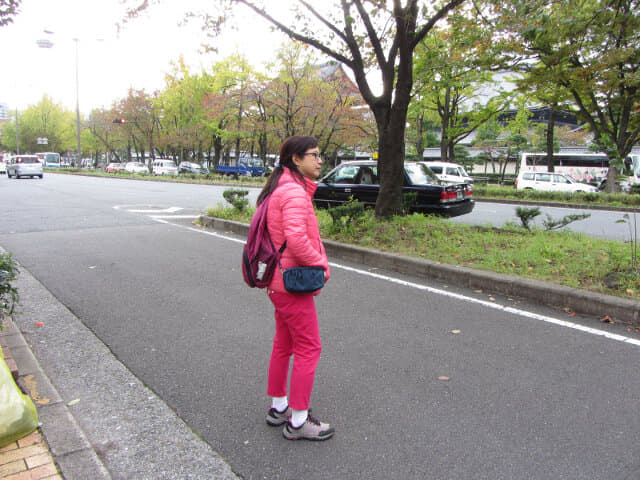 京都 烏丸通大道 楓樹、銀杏樹秋天景色