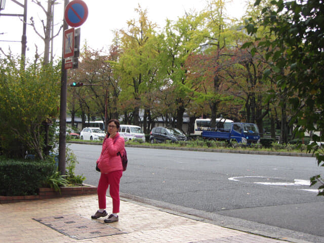 京都 烏丸通大道 楓樹、銀杏樹秋天景色