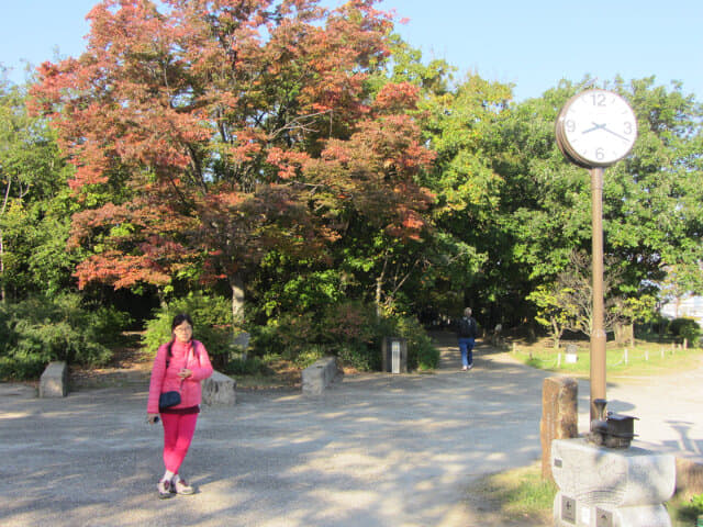 京都 梅小路公園 紅楓葉