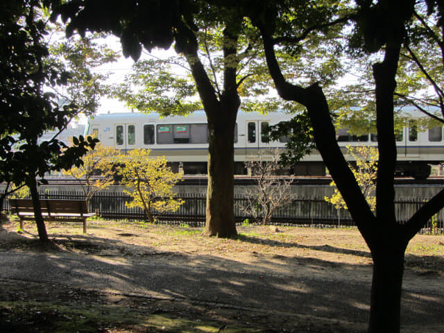 京都 梅小路公園