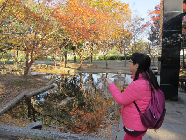 京都 梅小路公園 紅楓葉