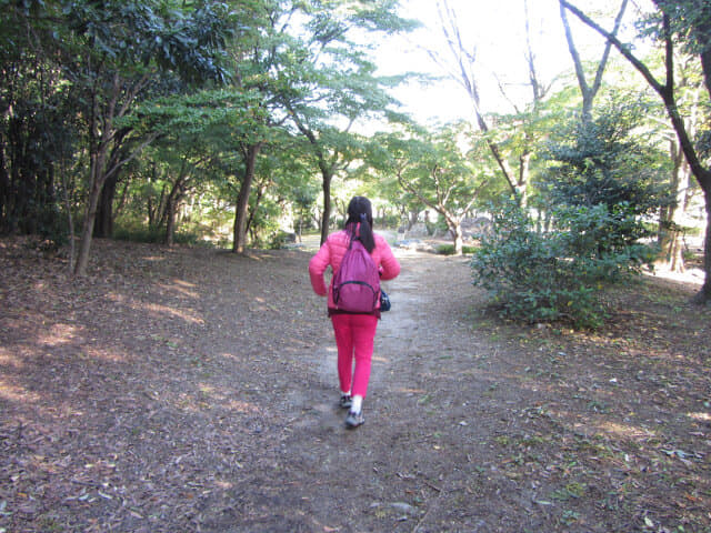 京都 梅小路公園