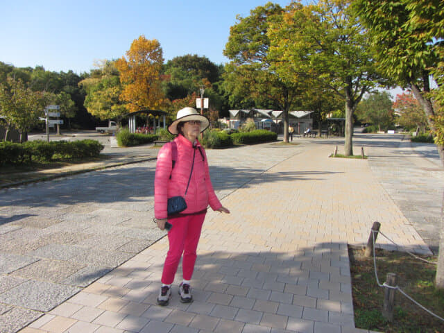 京都梅小路公園紅楓葉